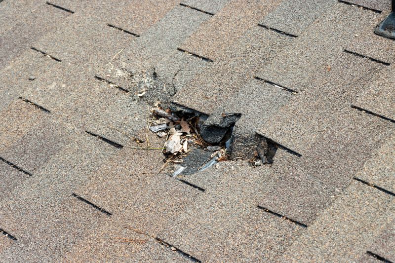 Shingle Roof Replacement in Canterbury, NH